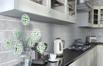 Top Trends in Modern Kitchen Appliances