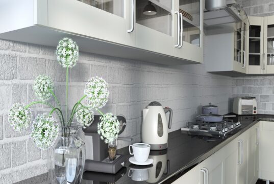 Top Trends in Modern Kitchen Appliances