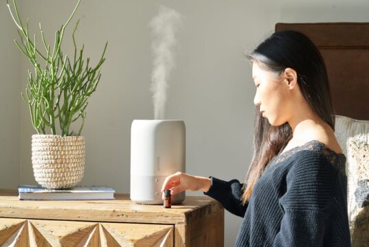 Maintenance Tips to Keep Your Air Purifier Efficient